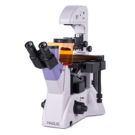 Microscope à fluorescence inversée MAGUS Lum V500