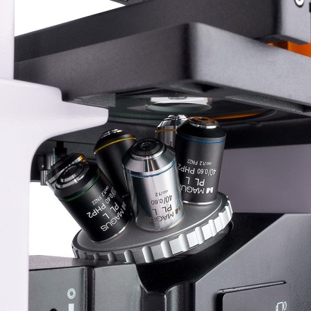 Microscope à fluorescence inversée magus lum v500