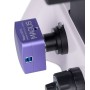 Microscopio biologico invertito digitale magus bio vd350