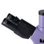 MAGUS Lum D400 Microscope à fluorescence numérique LCD