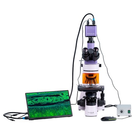 Microscopio de fluorescencia digital magus lum d400l lcd