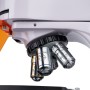 Magus lum d400l lcd digitale fluorescentie microscoop