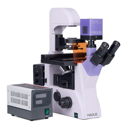 Magus lum vd500 microscope numérique à fluorescence inversée