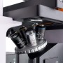 Magus lum vd500 digitale omgekeerde fluorescentiemicroscoop