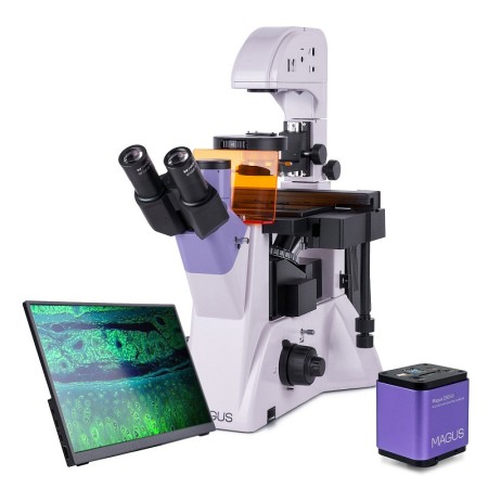 Magus lum vd500 lcd digital inverted fluorescence microscope