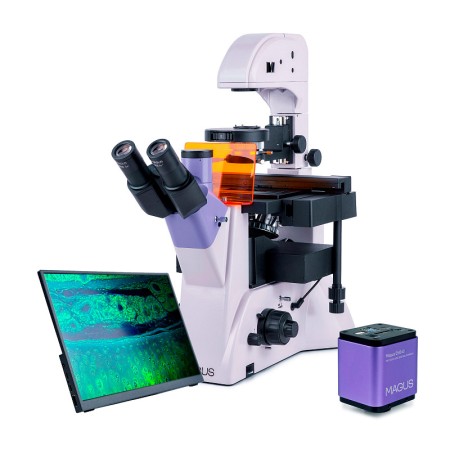 MAGUS Lum VD500L Microscope numérique à fluorescence inversée LCD