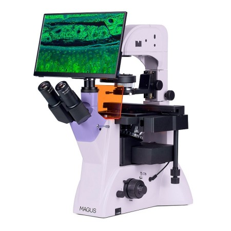 Magus lum vd500l lcd digitale omgekeerde fluorescentiemicroscoop