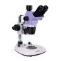 Magus stereo 8t stereoscopic microscope