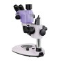 MAGUS Stereo 8T Stereoscopic Microscope