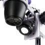 MAGUS Stereo 8T Stereoscopic Microscope