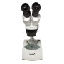 Microscope Levenhuk 3ST