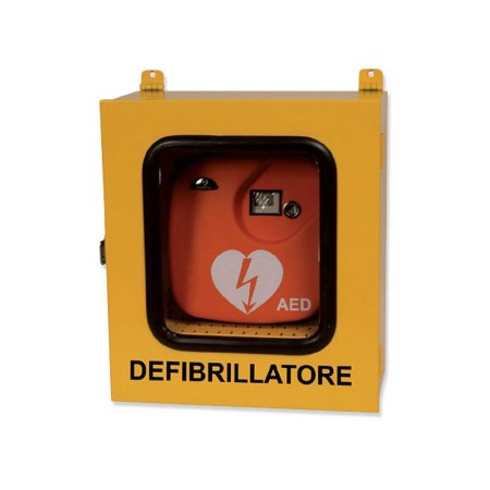 Defibrillator cabinet with alarm - indoor/outdoor use