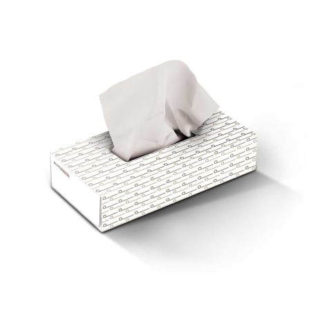 2-ply facial tissues 40 packs. from 100 pcs.