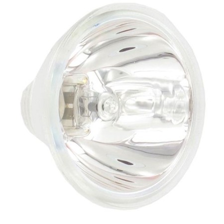 Lampadina ricambio per 29600