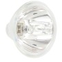 Replacement bulb for 29600