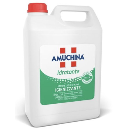 Amuchina savon désinfectant pour les mains 5 litres