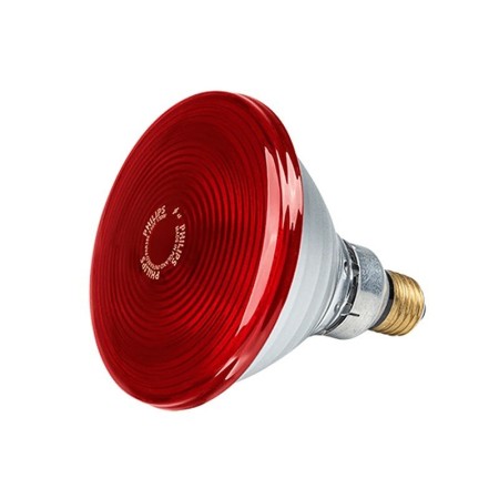 Ampoule de remplacement Philips 150w pour le code 28646