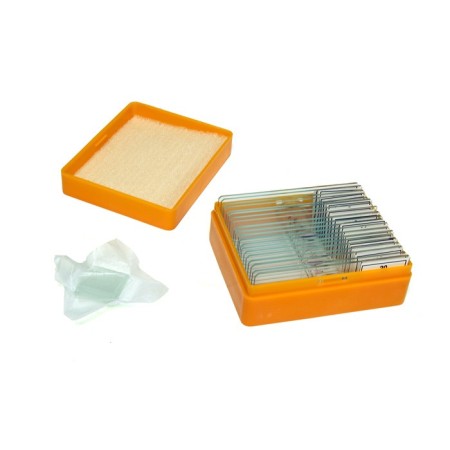 Juego de diapositivas preparadas levenhuk n20 ng