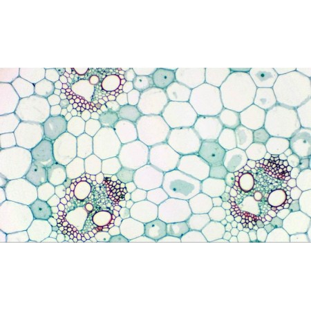 Bresser mikrokular full hd digitális okulárkamera