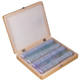 Bresser Prepared Slide Set 100 pieces with Box