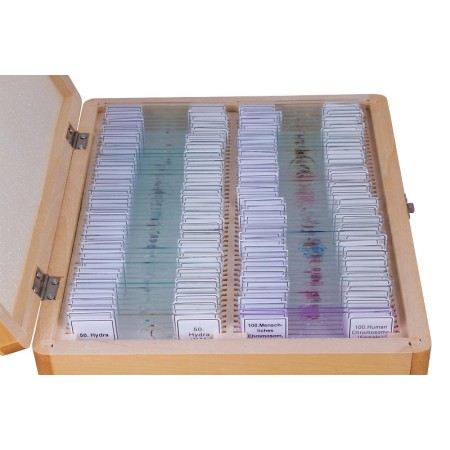 Juego de portaobjetos preparados bresser 100 piezas con caja