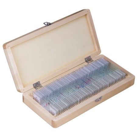 Juego de portaobjetos preparados bresser 50 piezas con caja