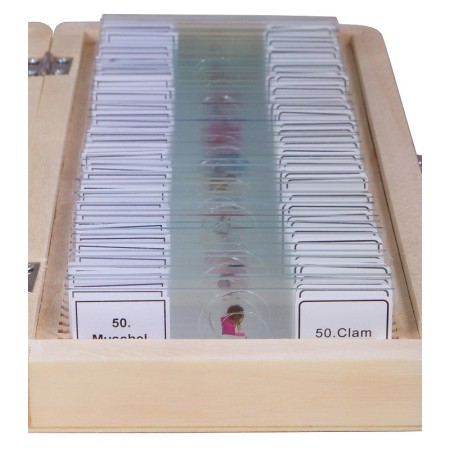 Set bresser prepared slides 50 stuks met doos