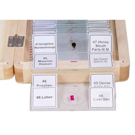 Juego de portaobjetos preparados bresser 50 piezas con caja