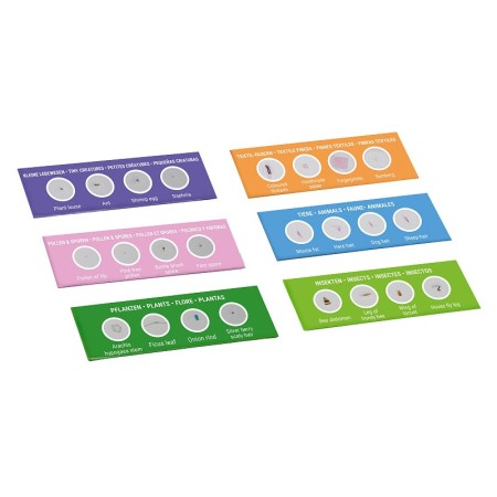 Bresser junior experimenteerset met 24 permanente microscooppreparaten voor beginners