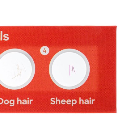 Levenhuk discovery fauna set with 12 prepared slides