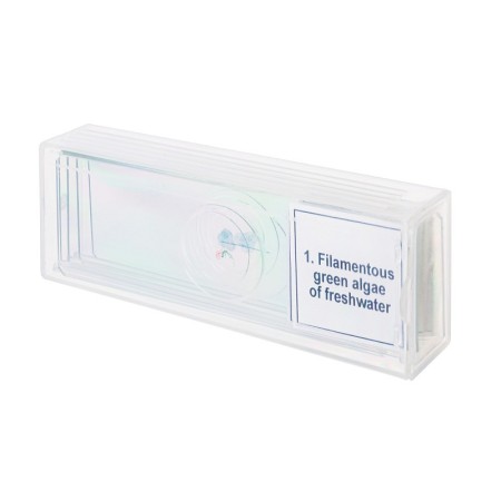 Ensemble de micropréparations levenhuk discovery prof dps 5. « biologie »