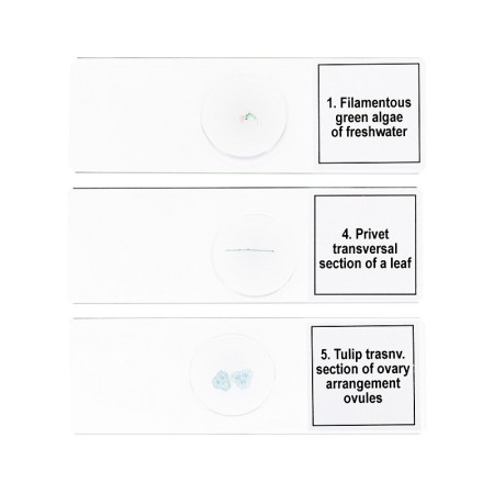 Set of micropreparations levenhuk discovery prof dps 5. "biology"