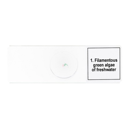 Mikropreparátumok készlete levenhuk discovery prof dps 5. "biológia"