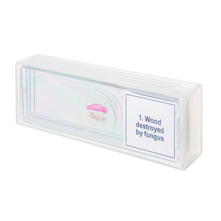 Conjunto de micromuestras levenhuk discovery prof dps 5 “mutaciones”.