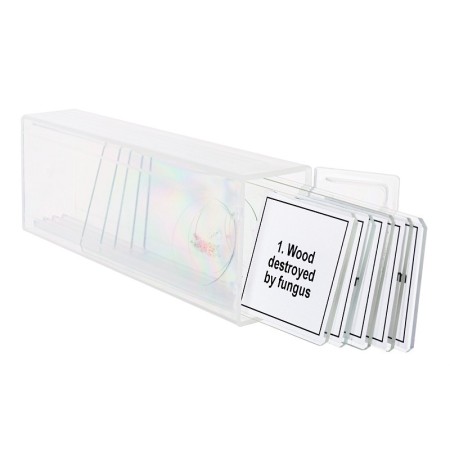 Conjunto de micromuestras levenhuk discovery prof dps 5 “mutaciones”.