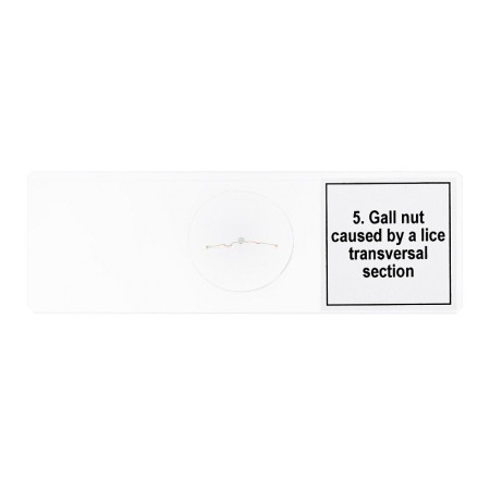 Conjunto de micromuestras levenhuk discovery prof dps 5 “mutaciones”.