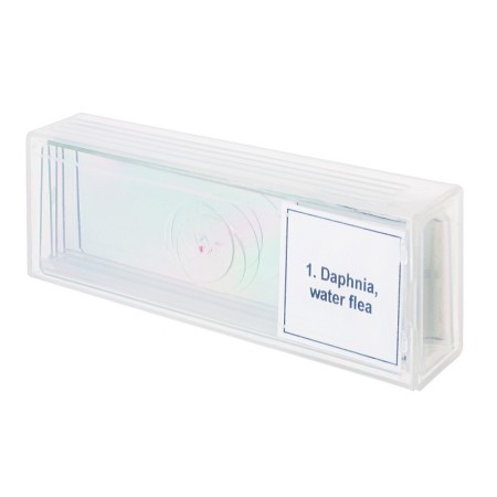 Juego de micromuestras levenhuk discovery prof dps 5 “la vida en una gota de agua”.