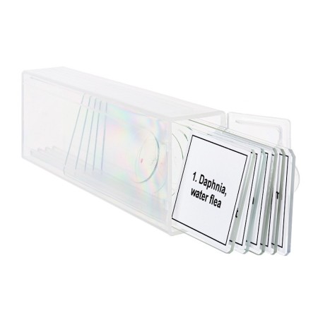 Set von mikropräparaten levenhuk discovery prof dps 5. "leben in einem tropfen wasser"