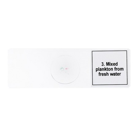 Set di micropreparati levenhuk discovery prof dps 5. “la vita in una goccia d’acqua”