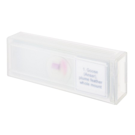 Mikropreparátumok készlete levenhuk discovery prof dps 5. "madarak"