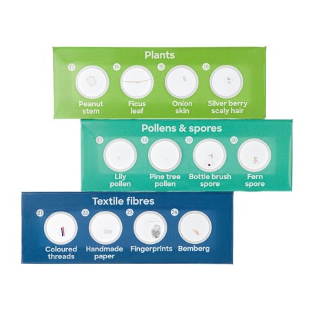 Levenhuk discovery flora set with 12 prepared slides