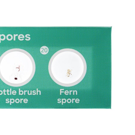 Levenhuk discovery flora set with 12 prepared slides