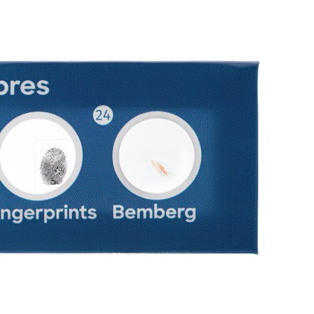 Levenhuk discovery flora set de 12 lames préparées