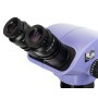 Magus stereo 8bh microscope head