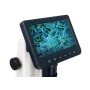 Digital Microscope Levenhuk Discovery Artisan 512