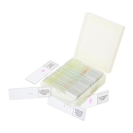 Ensemble de micropréparations levenhuk discovery prof dps 25. « la biologie, les oiseaux, etc. »