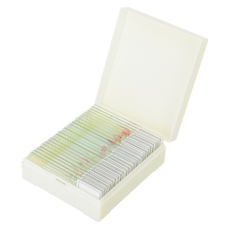 Set von mikropräparaten levenhuk discovery prof dps 25. "biologie, vögel usw."