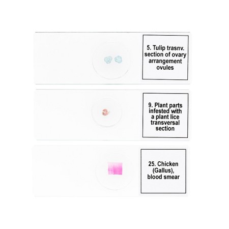 Ensemble de micropréparations levenhuk discovery prof dps 25. « la biologie, les oiseaux, etc. »