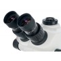 Microscopio trinoculare Levenhuk ZOOM 1T