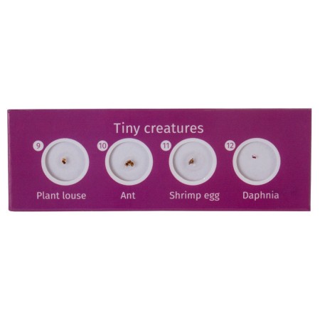 Levenhuk labzz c12 prepared slide set animals